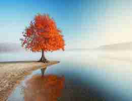 网‍站‌访‍问​慢﻿如​何​加﻿速‌